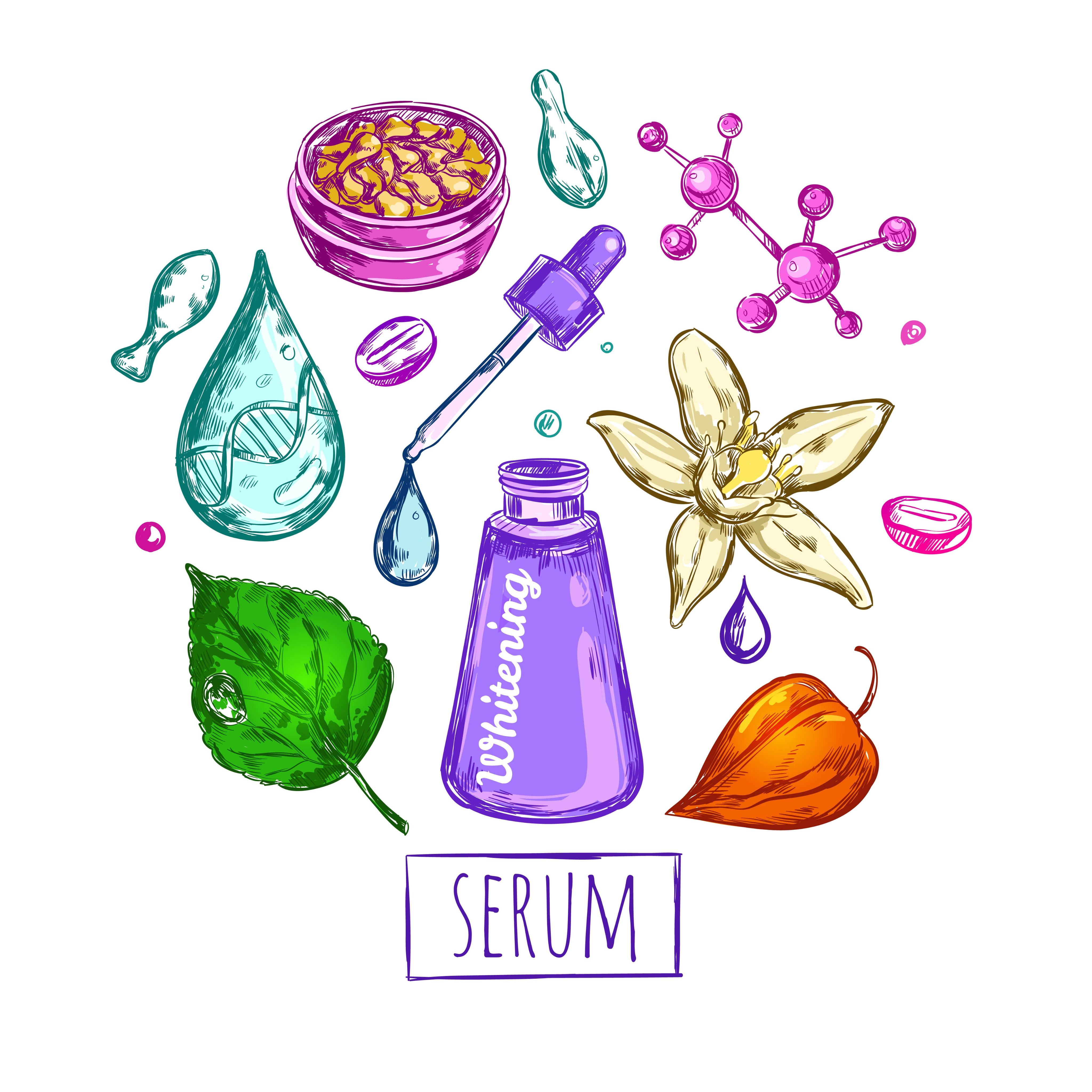 순수한베짱이295