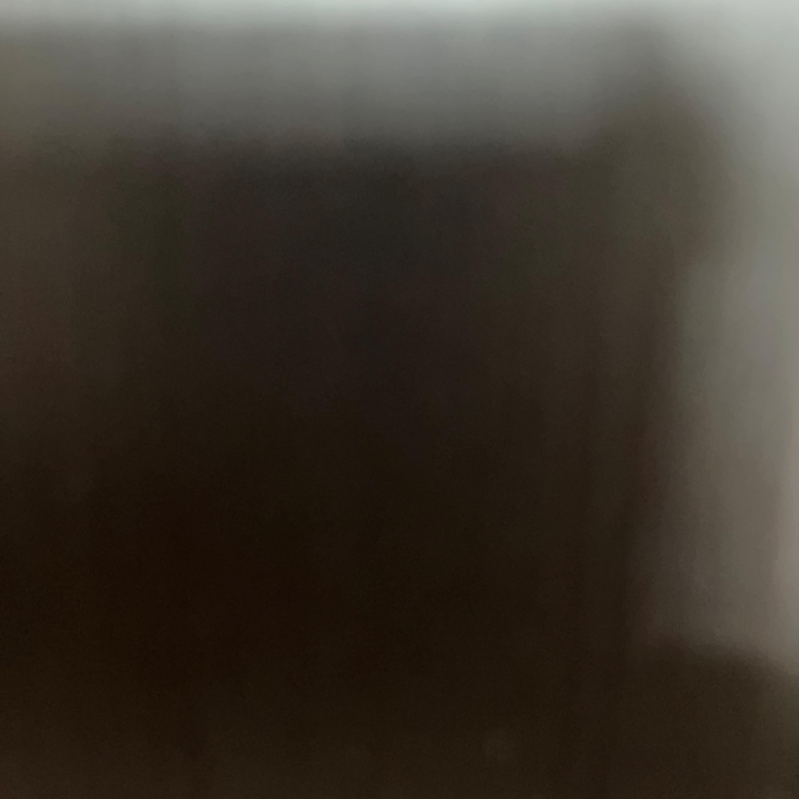 탁월한지빠귀80