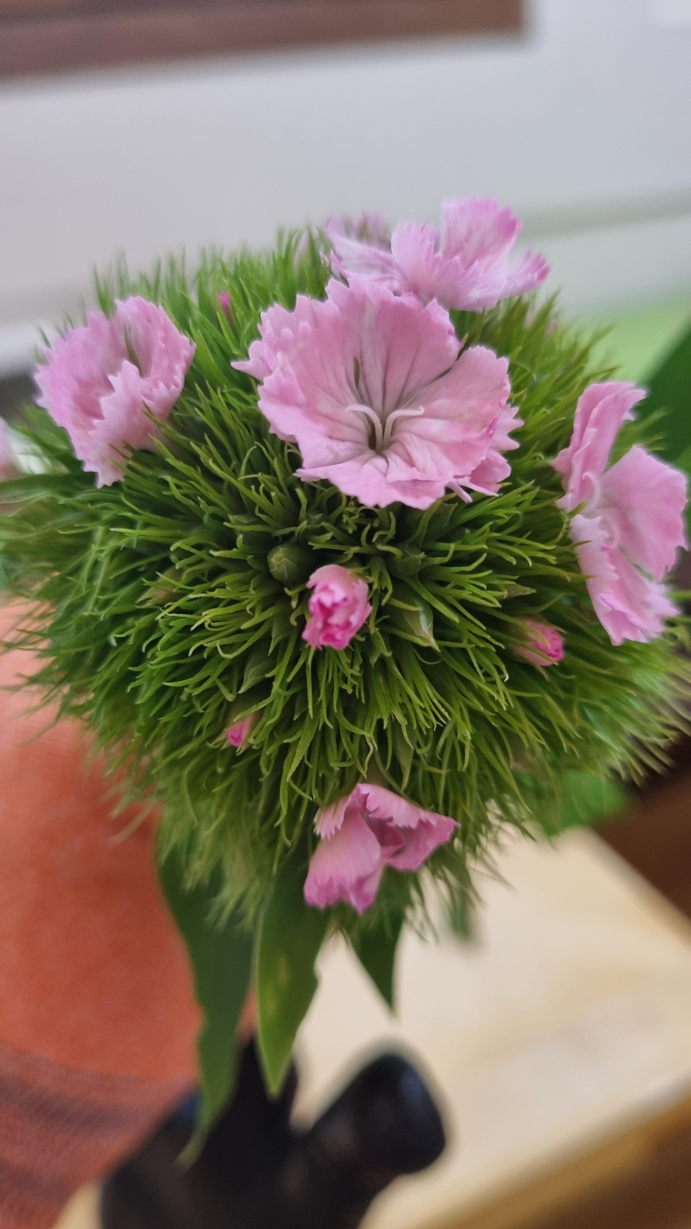 향기로운향고래52